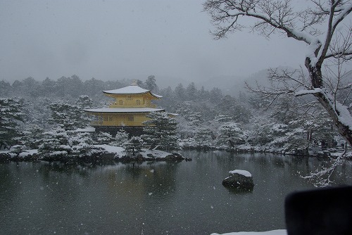 IMGP6525.jpg (61889 �o�C�g)