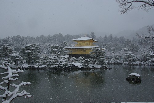 IMGP6528.jpg (59903 �o�C�g)