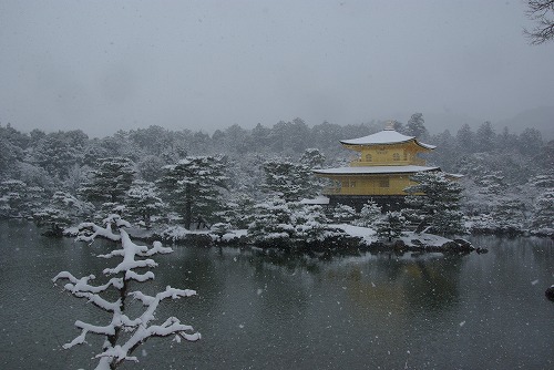 IMGP6531.jpg (58035 �o�C�g)