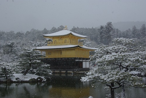 IMGP6535.jpg (67435 �o�C�g)