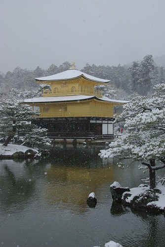 IMGP6536.jpg (64542 �o�C�g)