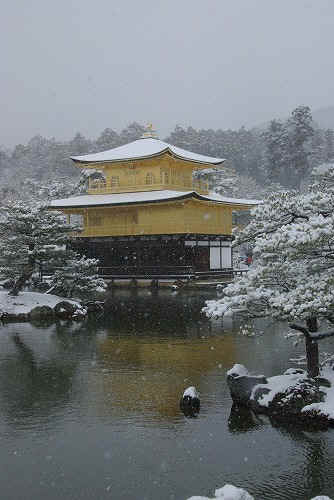 IMGP6537.jpg (64599 �o�C�g)