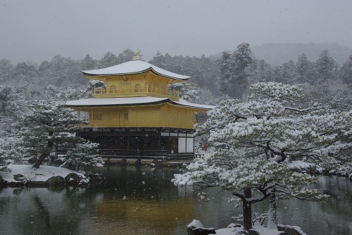 IMGP6538.jpg (71890 �o�C�g)