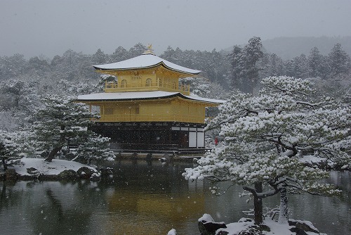 IMGP6539.jpg (72874 �o�C�g)