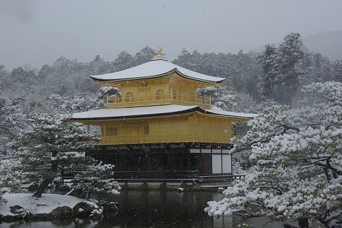 IMGP6540.jpg (72421 �o�C�g)