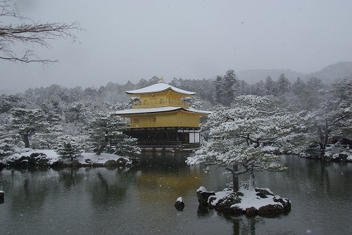 IMGP6541.jpg (61620 �o�C�g)