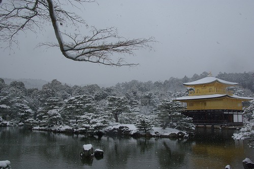 IMGP6544.jpg (62797 �o�C�g)