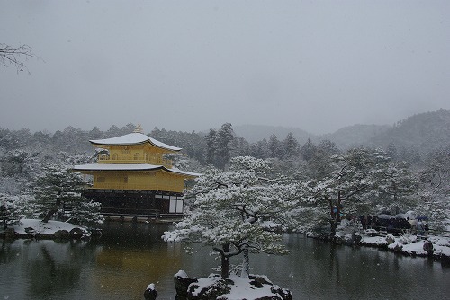 IMGP6547.jpg (54177 �o�C�g)