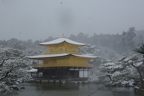 IMGP6554.jpg (54468 �o�C�g)