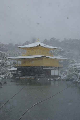 IMGP6556.jpg (39758 �o�C�g)