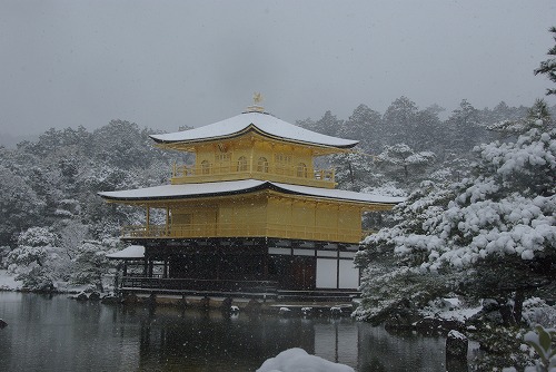 IMGP6559.jpg (63353 �o�C�g)