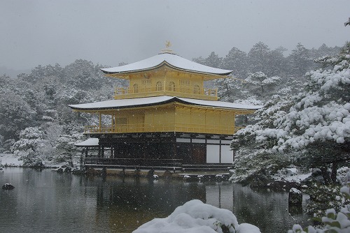 IMGP6560.jpg (67710 �o�C�g)