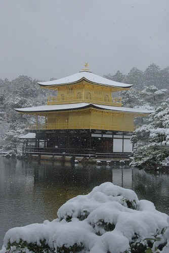 IMGP6561.jpg (58785 �o�C�g)