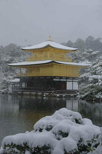 IMGP6562.jpg (59781 �o�C�g)