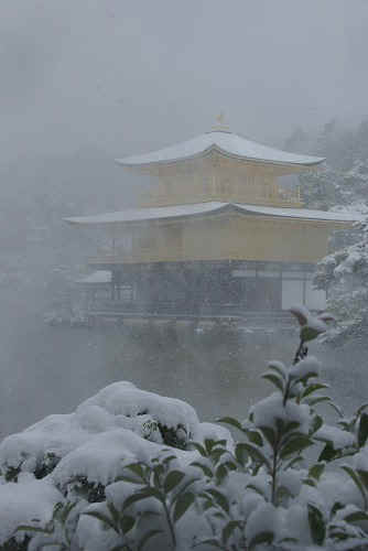 IMGP6567.jpg (38153 �o�C�g)