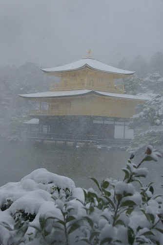 IMGP6569.jpg (40698 �o�C�g)