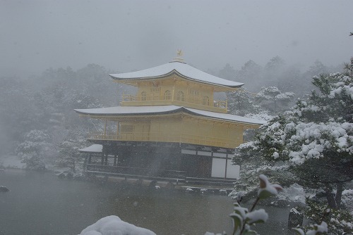 IMGP6571.jpg (44124 �o�C�g)