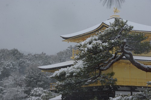 IMGP6572.jpg (59538 �o�C�g)