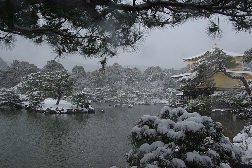 IMGP6573.jpg (79660 �o�C�g)