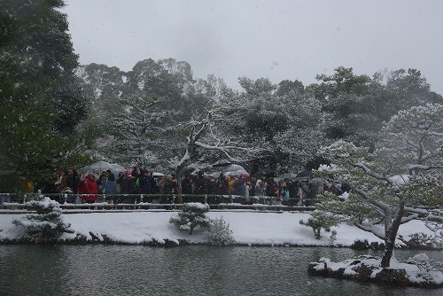 IMGP6574.jpg (74040 �o�C�g)