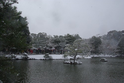 IMGP6575.jpg (59857 �o�C�g)