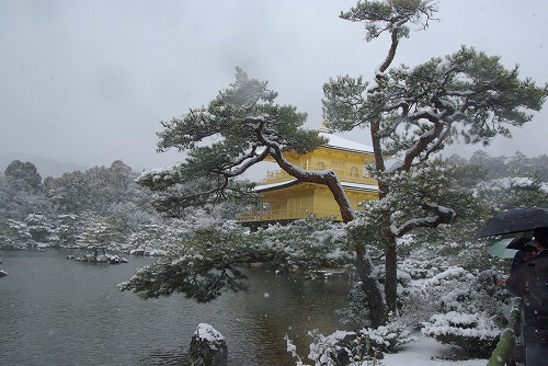 IMGP6578.jpg (72613 �o�C�g)