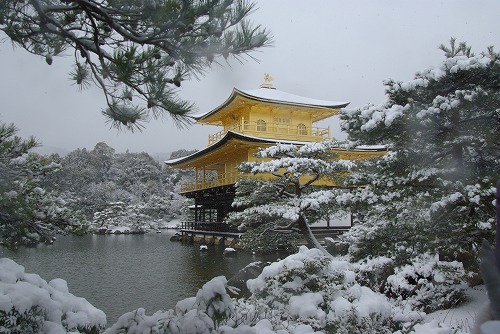 IMGP6582.jpg (81546 �o�C�g)