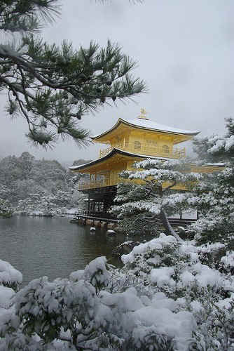 IMGP6583.jpg (77636 �o�C�g)