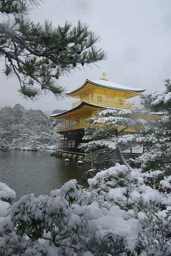 IMGP6584.jpg (78886 �o�C�g)