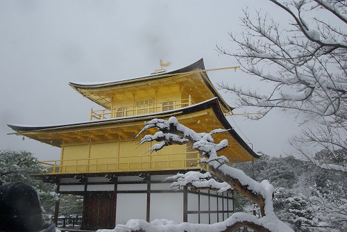 IMGP6586.jpg (64595 �o�C�g)