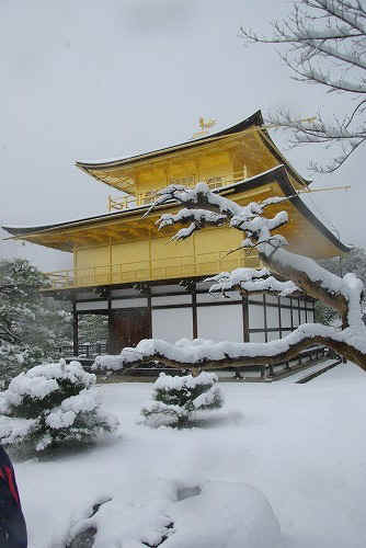 IMGP6590.jpg (57135 �o�C�g)