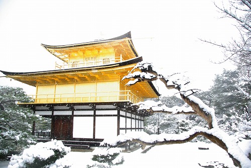 IMGP6594.jpg (72711 �o�C�g)