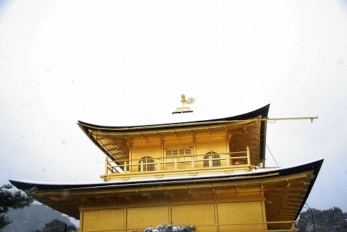 IMGP6604.jpg (42673 �o�C�g)