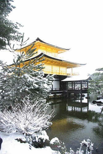 IMGP6615.jpg (79287 �o�C�g)