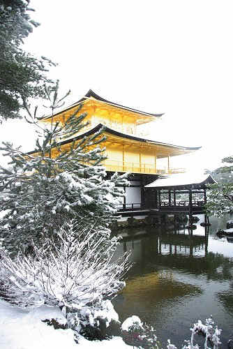 IMGP6617.jpg (78410 �o�C�g)