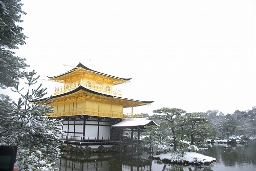 IMGP6619.jpg (56909 �o�C�g)