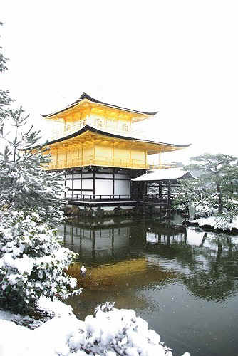 IMGP6622.jpg (68319 �o�C�g)