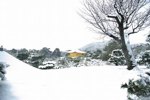 IMGP6623.jpg (60069 �o�C�g)