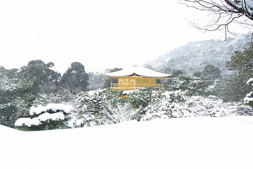 IMGP6628.jpg (55031 �o�C�g)