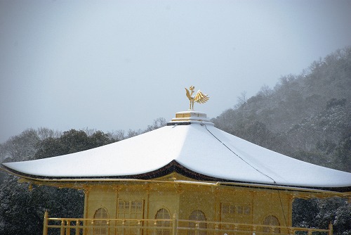 IMGP6631.jpg (43804 �o�C�g)