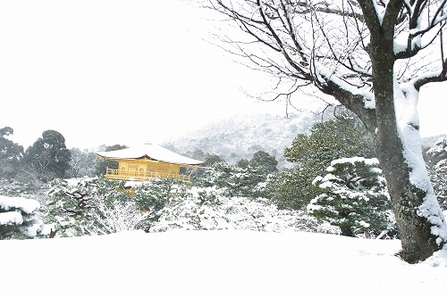 IMGP6635.jpg (66960 �o�C�g)