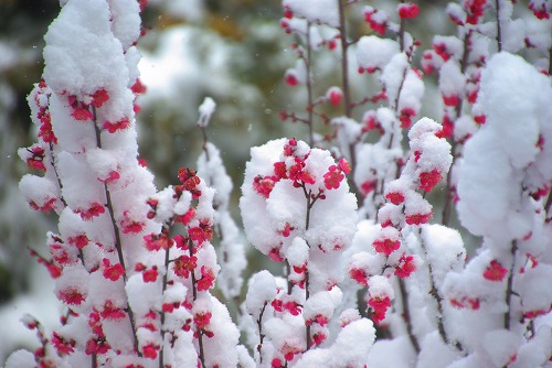 IMGP6640.jpg (65317 �o�C�g)