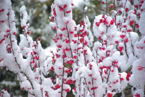 IMGP6641.jpg (82347 �o�C�g)