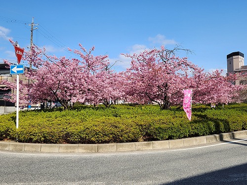 20260305_103840.jpg (105855 バイト)