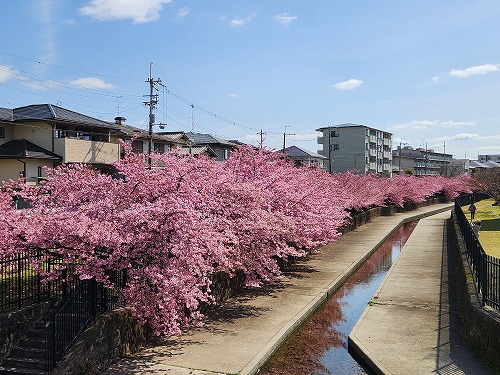 20260305_104826.jpg (92012 バイト)