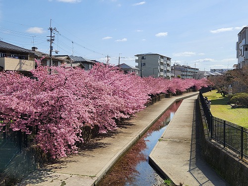 20260305_104914.jpg (96433 バイト)