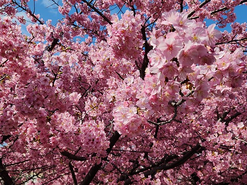 20260305_105305.jpg (141871 �o�C�g)