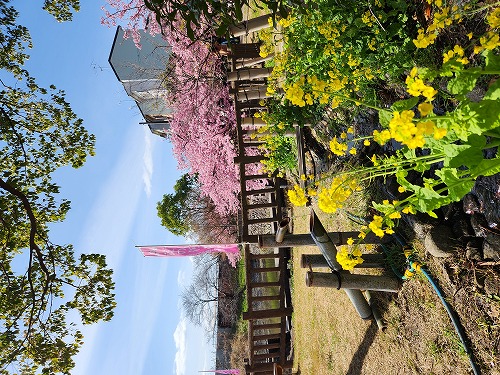 20260305_112031.jpg (127882 バイト)