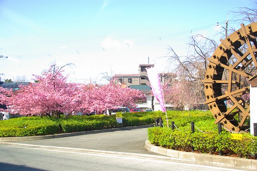 IMGP6662.jpg (81835 バイト)