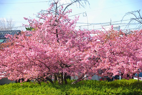 IMGP6663.jpg (114083 バイト)